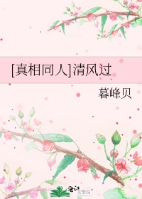 真相同人清风过下载