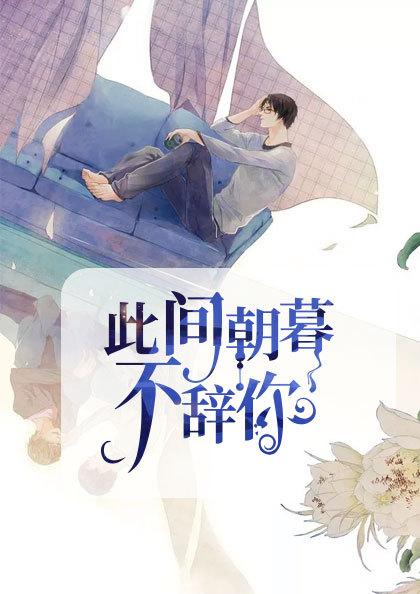 宋辞霍慕沉是什么小说