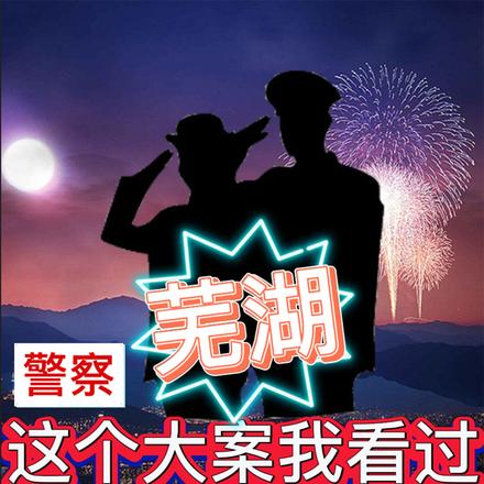 警察:芜湖,这个大案我看过
